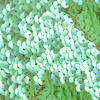 Lime Iridescent Paillette Sequins on a Stretch Netting - Detail | Mood Fabrics