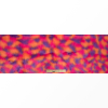 Vibrant Orange, Pink and Purple Faux Fur - Full | Mood Fabrics