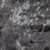 Galaxy Gray Abstract Patterned Velvet | Mood Fabrics