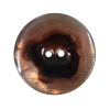 Italian Orange 2-Hole Shell Button - 44L/27mm | Mood Fabrics