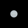 Italian White Matte Shank Back Button - 16L/10mm - Detail | Mood Fabrics