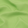 Avocado Toast Water Repellent Canvas - Detail | Mood Fabrics
