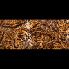 Italian Golden Brown Jaguar Digitally Printed Silk Charmeuse - Full | Mood Fabrics