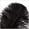 18-21 Black Ostrich Feather - Detail | Mood Fabrics