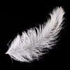 18-21 White Ostrich Feather | Mood Fabrics