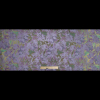 Rust, Lilac and Ivory Abstract Floral Jacquard - Full | Mood Fabrics