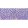 Purple Floral Eyeball Printed Silk Crepe - Full | Mood Fabrics