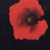 Mood Exclusive Van Gogh's Poppies 3D Fabric - Detail | Mood Fabrics