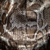 Sequined Stretch Knit with Metallic Bronze Snakeskin Foil Topcoat - Detail | Mood Fabrics
