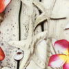 Shells on a Beige Boardwalk Caye UV Protective Compression Swimwear Tricot with Aloe Vera Microcapsules - Detail | Mood Fabrics