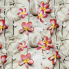Shells on a Beige Boardwalk Caye UV Protective Compression Swimwear Tricot with Aloe Vera Microcapsules | Mood Fabrics