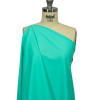 Santorini Plus Mint Frost UV Protective Stretch Recycled Swimwear Tricot - Spiral | Mood Fabrics