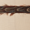 Beige Brown Pheasant Feather - Detail | Mood Fabrics