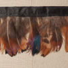 Brown Pheasant Feather - Detail | Mood Fabrics