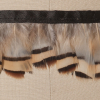 White Beige Pheasant Feather - Detail | Mood Fabrics
