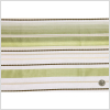 Fern Stripes Sheer - Full | Mood Fabrics