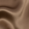 Premium Fungi Silk Charmeuse - Detail | Mood Fabrics