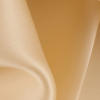 Gold Silk Satin Face Organza - Detail | Mood Fabrics