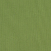 54 Cilantro Sunbrella Spectrum Upholstery Woven | Mood Fabrics